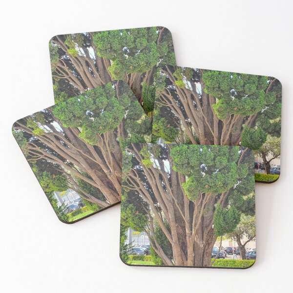Item preview, Cedro em Belém. Jerónimos designed and sold by Tereza Pilar  Art.