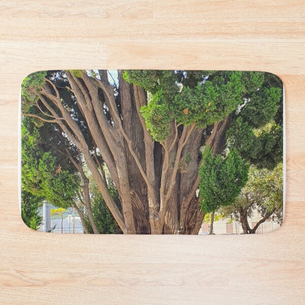 Item preview, Cedro em Belém. Jerónimos designed and sold by Tereza Pilar  Art.