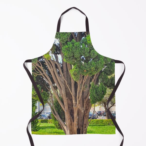 Item preview, Cedro em Belém. Jerónimos designed and sold by Tereza Pilar  Art.
