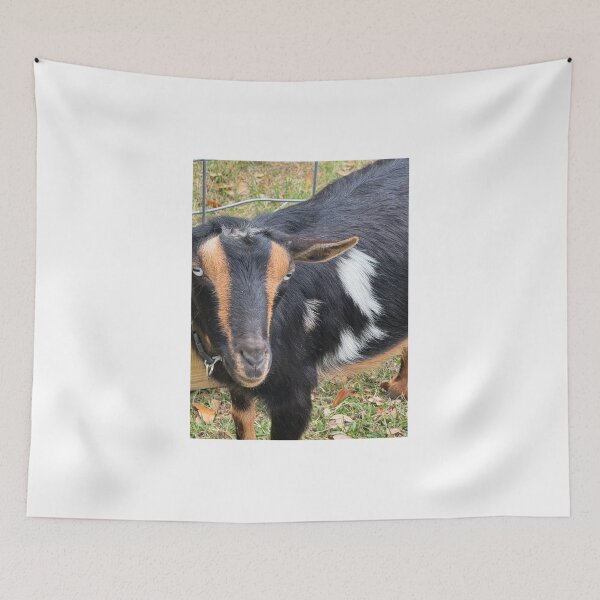 Item preview, goat wtf designed and sold by Kupa-Kuchan.