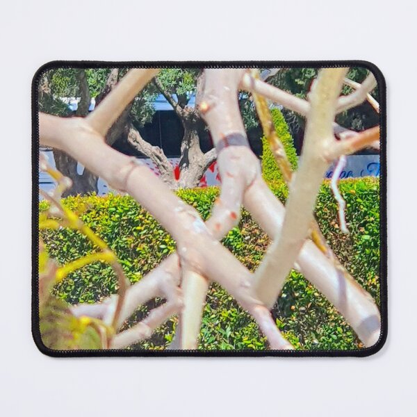 Item preview, nature abstract designed and sold by Tereza Pilar  Art.