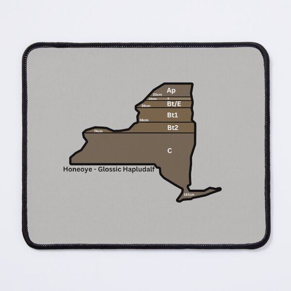 Item preview, New York State Soil- Honeoye designed and sold by Cat00Tome.