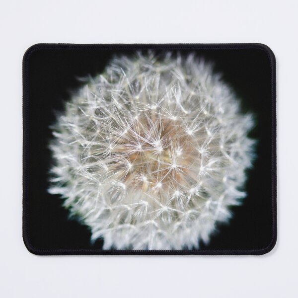 Item preview, White dandelion on black background designed and sold by olena2552.
