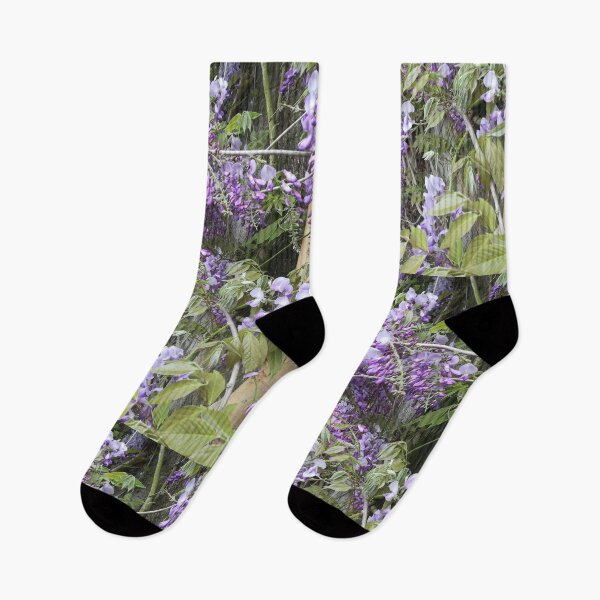Item preview, Purple wisteria photograph  designed and sold by esvb.