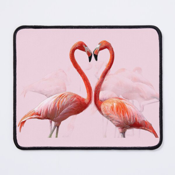 Item preview, WHERE DID THE FLAMINGO designed and sold by THE AMERICAN TEEVANGELIST.