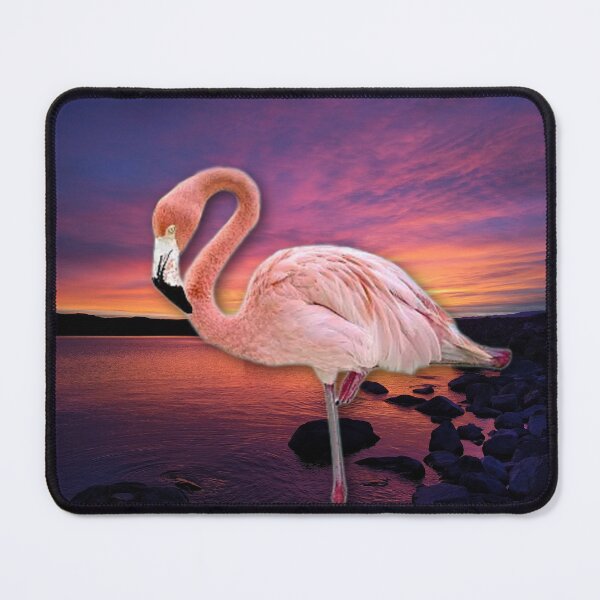Item preview, WHERE DID THE FLAMINGO 3D designed and sold by THE AMERICAN TEEVANGELIST.