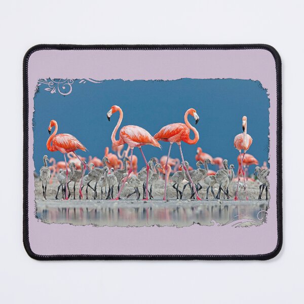 Item preview, WHERE DID THE FLAMINGO designed and sold by THE AMERICAN TEEVANGELIST.