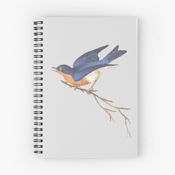 Item preview, VINTAGE BLUEBIRD designed and sold by Tomci0.