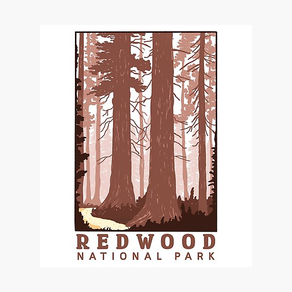 Item preview, Redwood National Park designed and sold by ethnicdrawing.