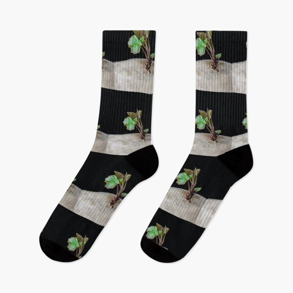 Item preview, Plant Me! designed and sold by heatherfriedman.