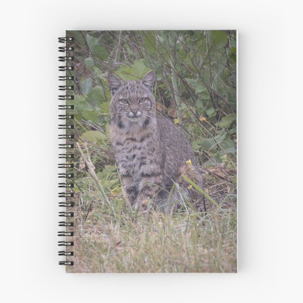 Item preview, Bobcat designed and sold by Anthony Brewer.