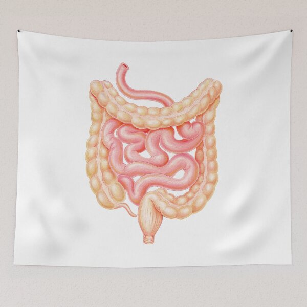Item preview, Guts designed and sold by Emma Cheng.