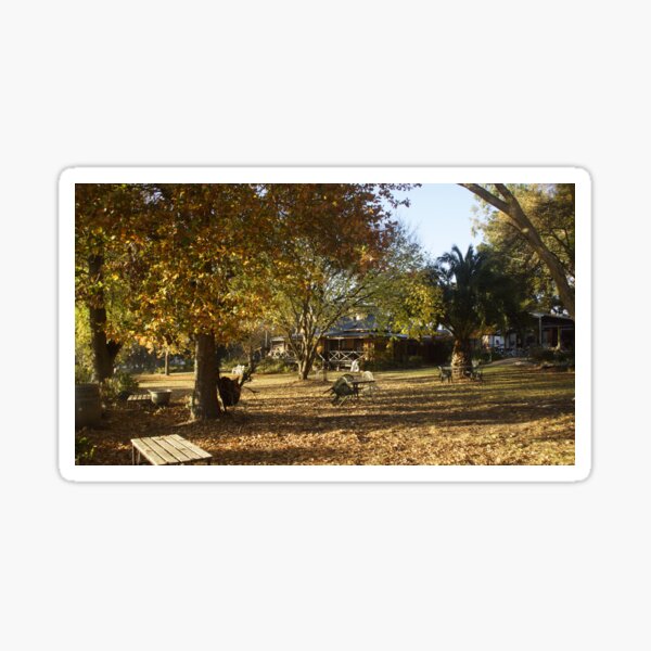 Item preview, Autumn in the Garden at Magpie Springs by Adelaide Artist Avril Thomas designed and sold by AvrilThomasart.