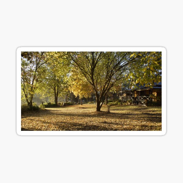 Item preview, Autumn at Magpie Springs by Adelaide Artist Avril Thomas designed and sold by AvrilThomasart.