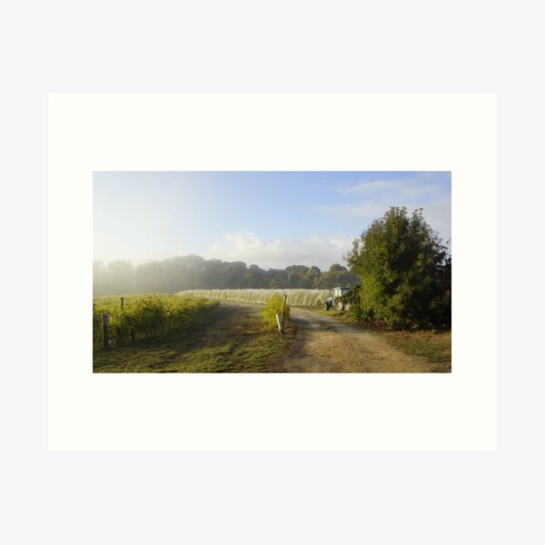 Item preview, Misty Morn during Vintage at Magpie Springs by Adelaide Artist Avril Thomas designed and sold by AvrilThomasart.