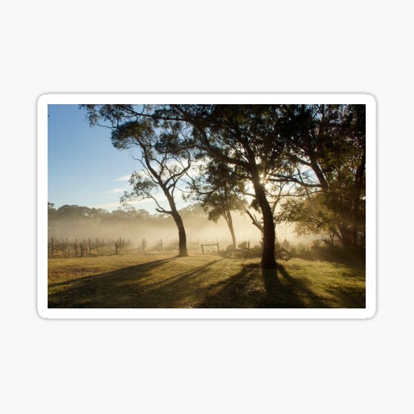 Item preview, Morning light with Mist at Magpie Springs Adelaide Artist Avril Thomas designed and sold by AvrilThomasart.