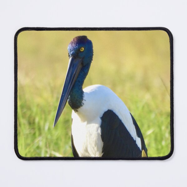 Item preview, Jabiru Black-necked Stork stunning female designed and sold by Mark Grimsley.