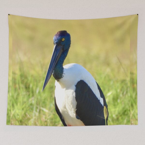 Item preview, Jabiru Black-necked Stork stunning female  designed and sold by Mark Grimsley.