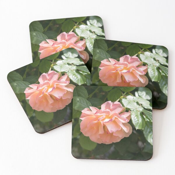 Item preview, Fragrant Peachy Pink Rose in Full Bloom designed and sold by Georgia Mizuleva.
