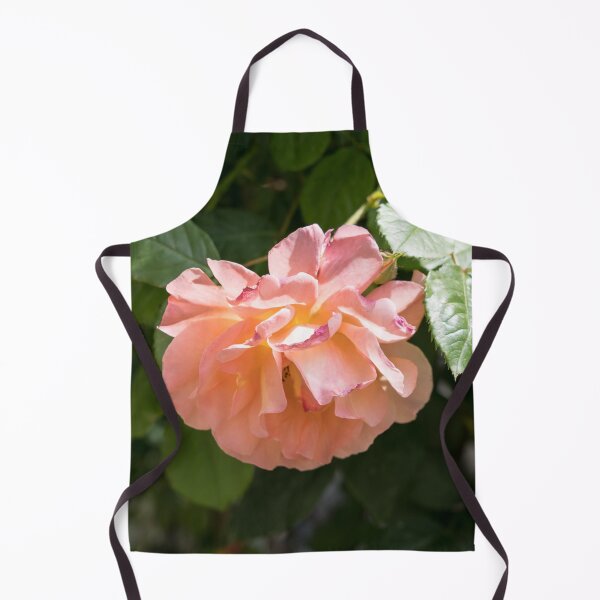 Item preview, Fragrant Peachy Pink Rose in Full Bloom designed and sold by Georgia Mizuleva.