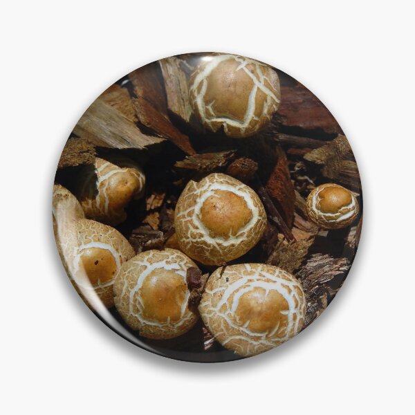 Item preview, Sprouting Mushrooms designed and sold by gistinker.
