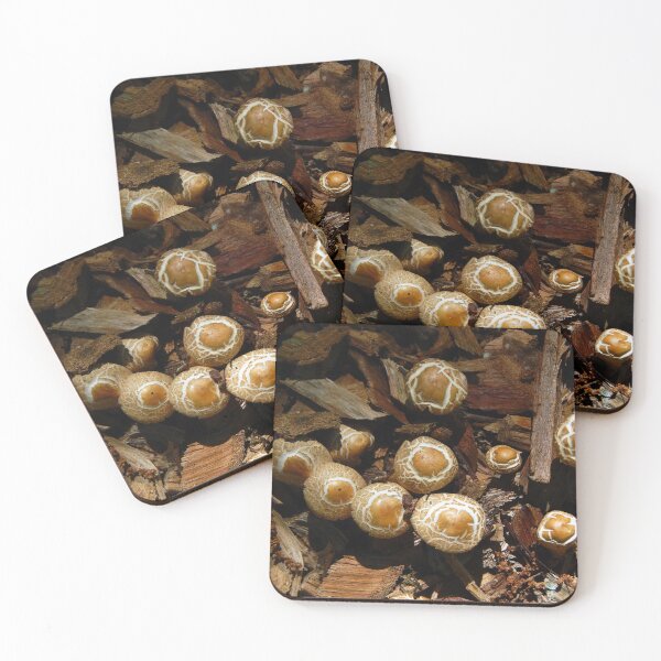 Item preview, Sprouting Mushrooms designed and sold by gistinker.