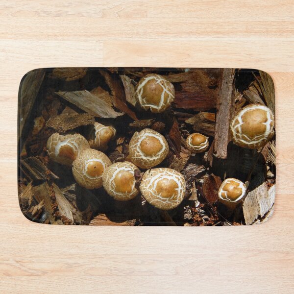 Item preview, Sprouting Mushrooms designed and sold by gistinker.
