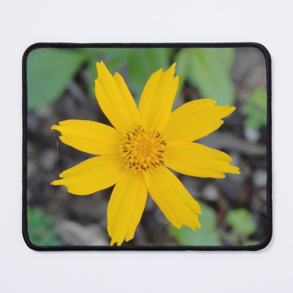 Item preview, Yellow Lobed Coreopsis With Webs designed and sold by gistinker.