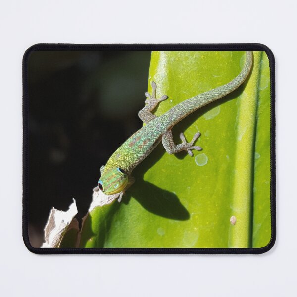 Item preview, Gold Dust Day Gecko designed and sold by Creative Endeavors ..