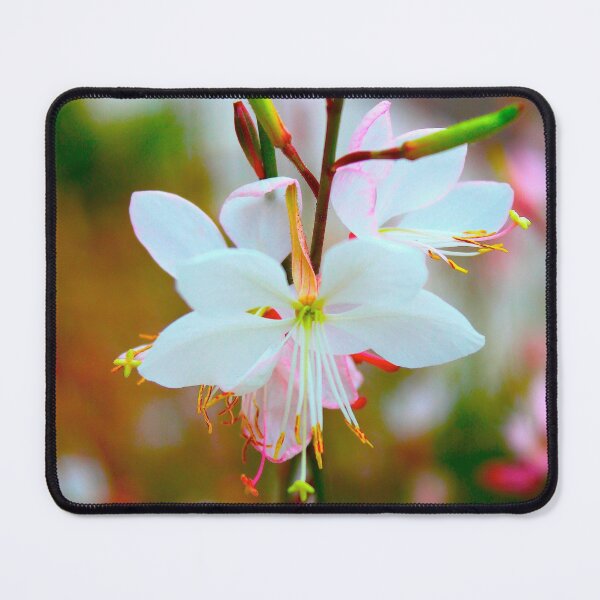 Item preview, Time to grow designed and sold by equilibrio.