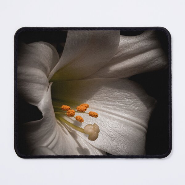 Item preview, Mitchell Park Dome Flower designed and sold by Nick Caldwell.