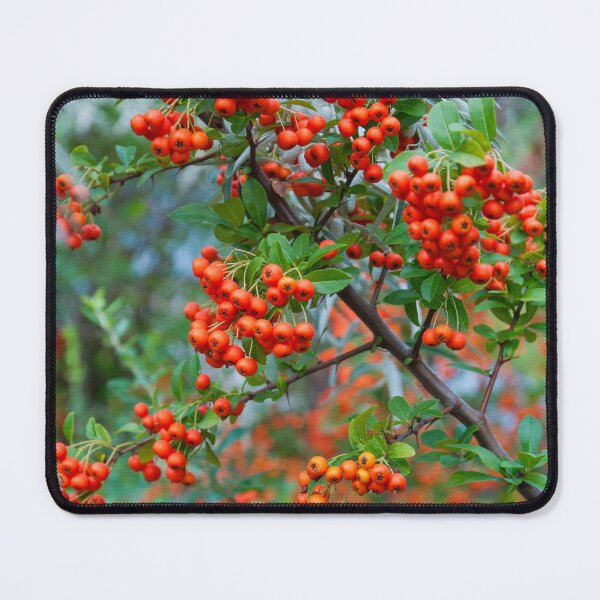 Item preview, Small red berries designed and sold by Milan Latta.
