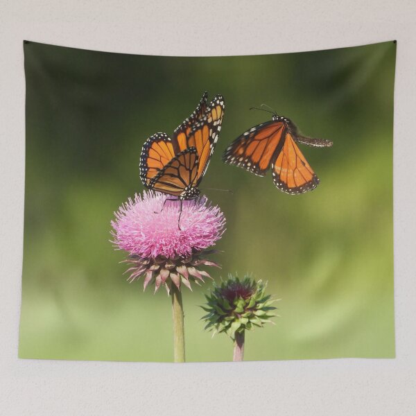 Item preview, Monarch Butterflies on thistle flower designed and sold by Jenny  Dyer.