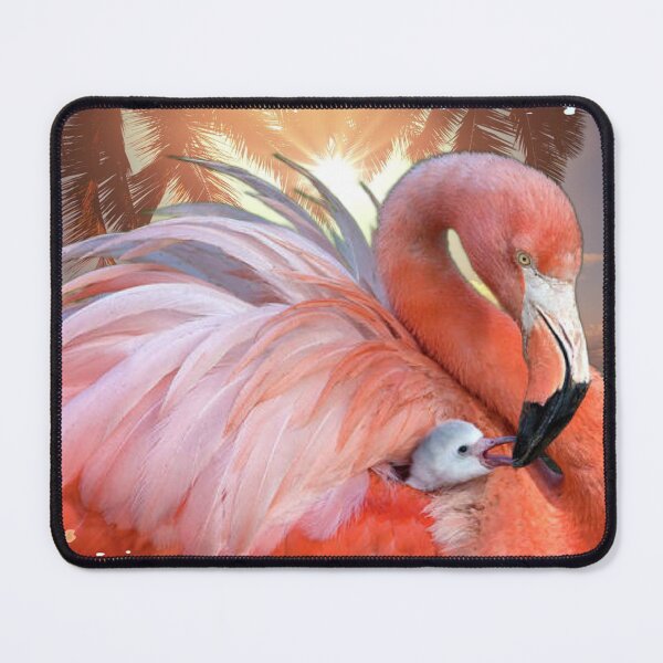 Item preview, WHERE DID THE FLAMINGO WITH THE ROSE WITH HER BABY designed and sold by THE AMERICAN TEEVANGELIST.