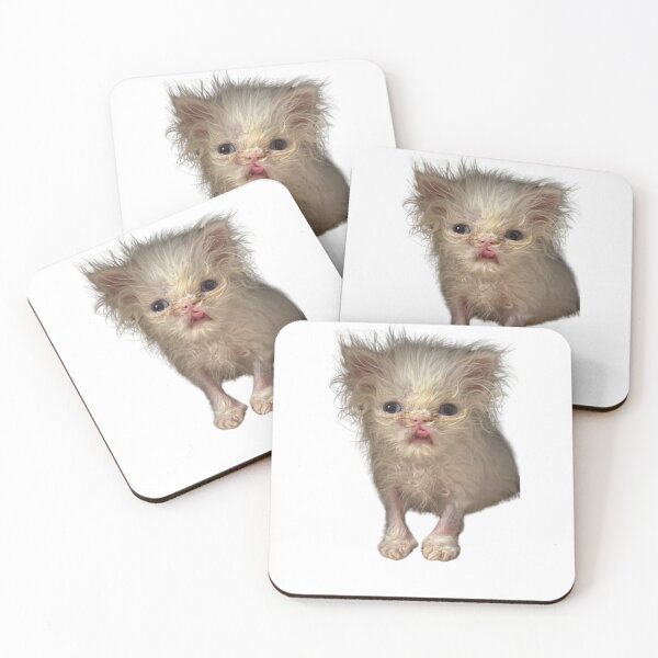 Item preview, Wisp Cat - Meme designed and sold by PixVib.