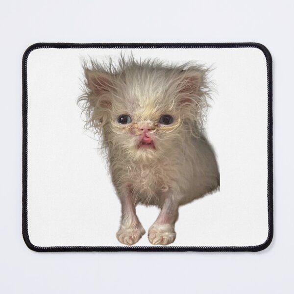 Item preview, Wisp Cat - Meme designed and sold by PixVib.