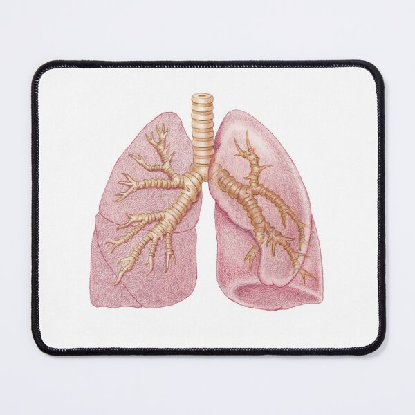 Item preview, Lung designed and sold by Emma Cheng.