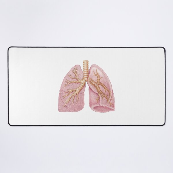 Item preview, Lung designed and sold by Emma Cheng.