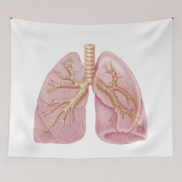 Item preview, Lung designed and sold by Emma Cheng.