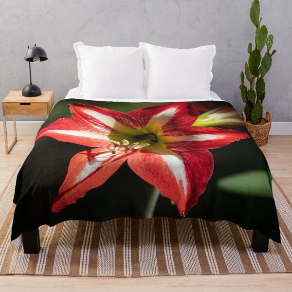 Item preview, Shards of Red: Hibiscus at the Summit of Phongsaly designed and sold by franck380.