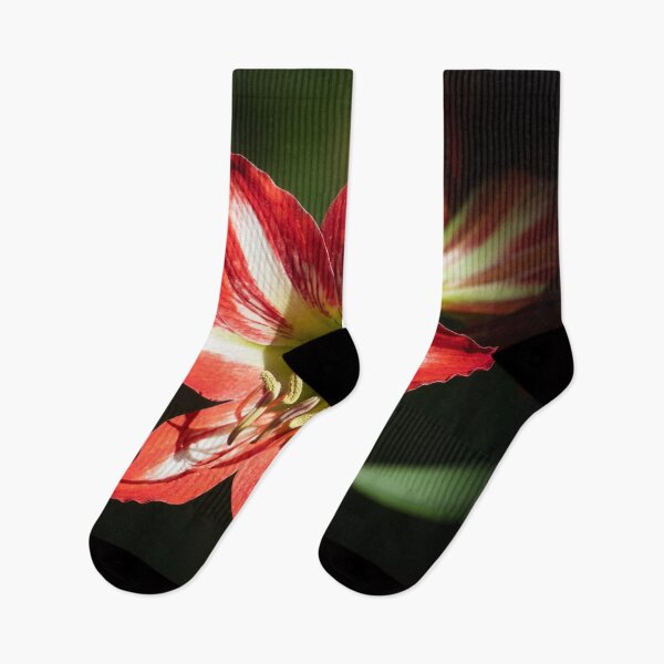 Item preview, Shards of Red: Hibiscus at the Summit of Phongsaly designed and sold by franck380.