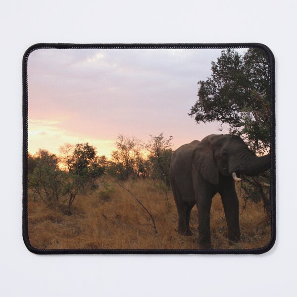 Item preview, Sunrise with an elephant designed and sold by RbWillows.