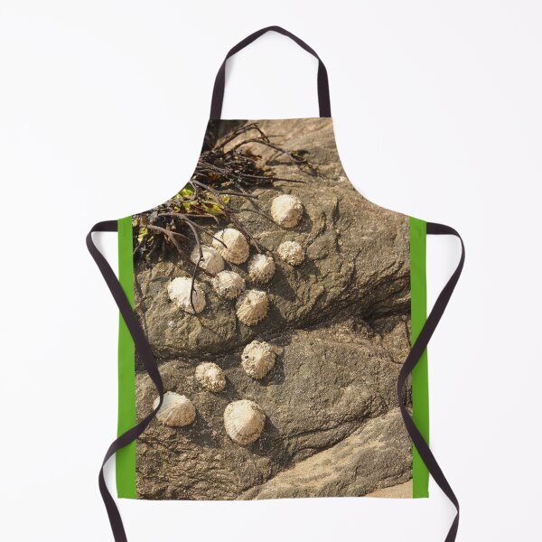 Item preview, Nature Lovers Limpets on Rock Rathmullan Vertical designed and sold by eddiebarronshop.