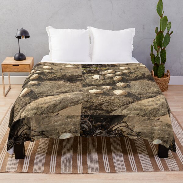 Item preview, Nature Lovers Limpets on Rock Rathmullan Vertical designed and sold by eddiebarronshop.