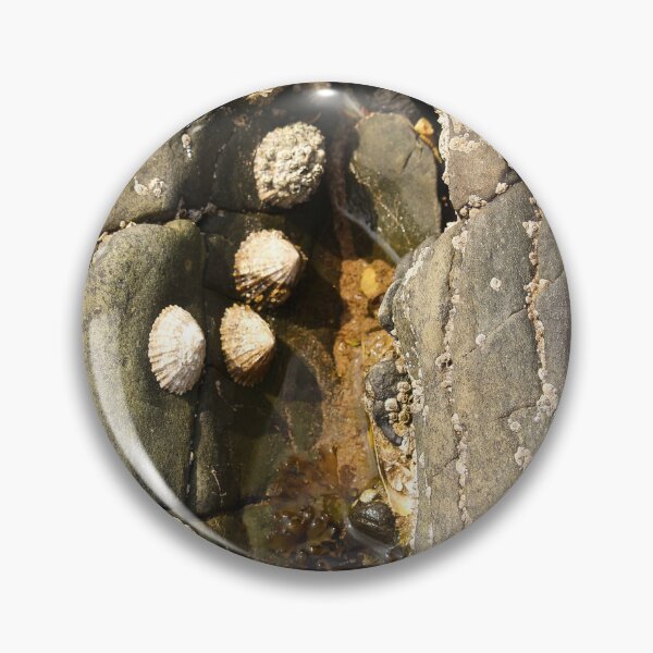 Item preview, Little Pool in Beach Rock Nature Lovers Rathmullan Vertical designed and sold by eddiebarronshop.
