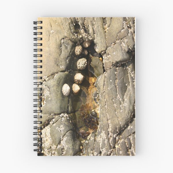 Item preview, Little Pool in Beach Rock Nature Lovers Rathmullan Vertical designed and sold by eddiebarronshop.