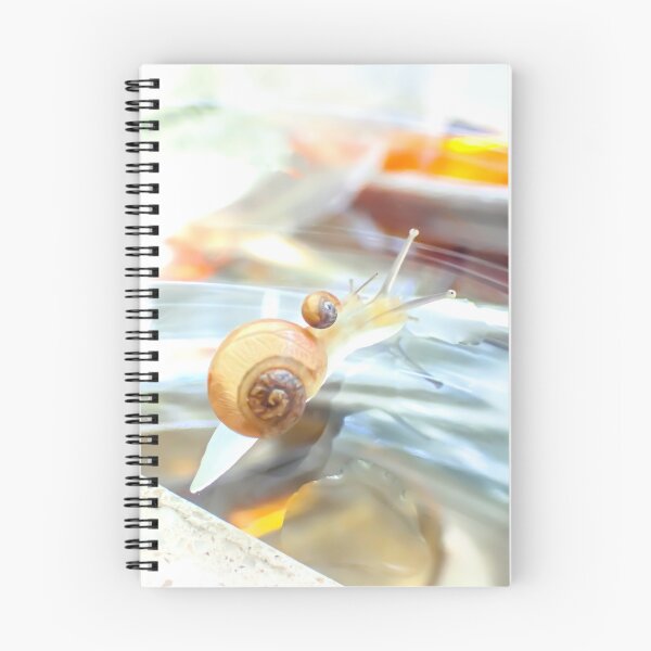 Item preview, Hitching A Ride designed and sold by ShotsOfLove.