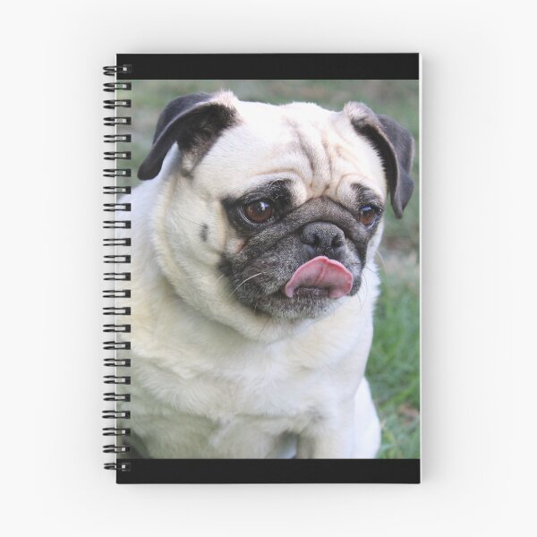 Item preview, Pug designed and sold by RbWillows.