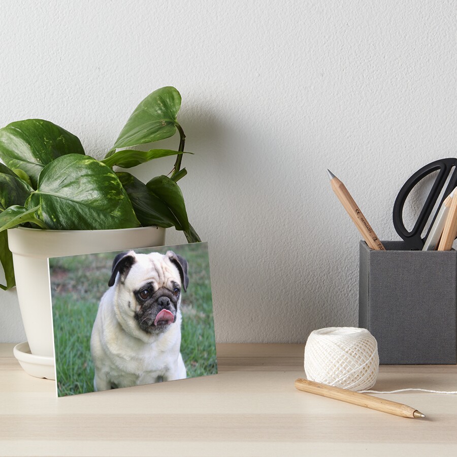 Item preview, Art Board Print designed and sold by RbWillows.