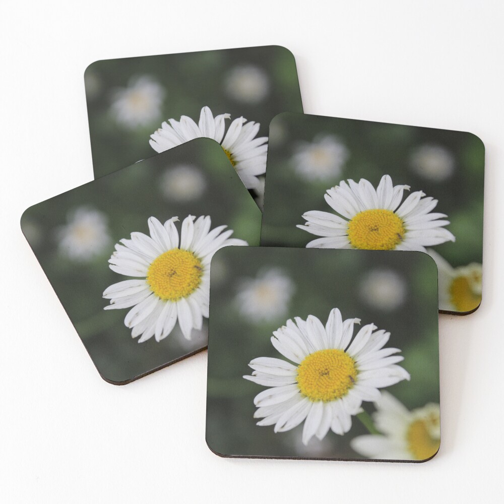 Item preview, Coasters (Set of 4) designed and sold by RbWillows.
